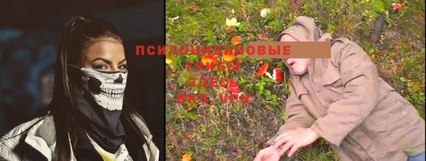 бошки Ельня
